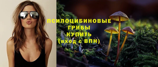 соль ск Абинск