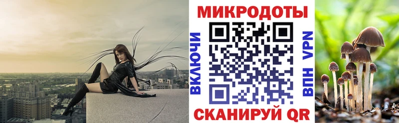 blacksprut ССЫЛКА  Дербент  Псилоцибиновые грибы MAGIC MUSHROOMS 